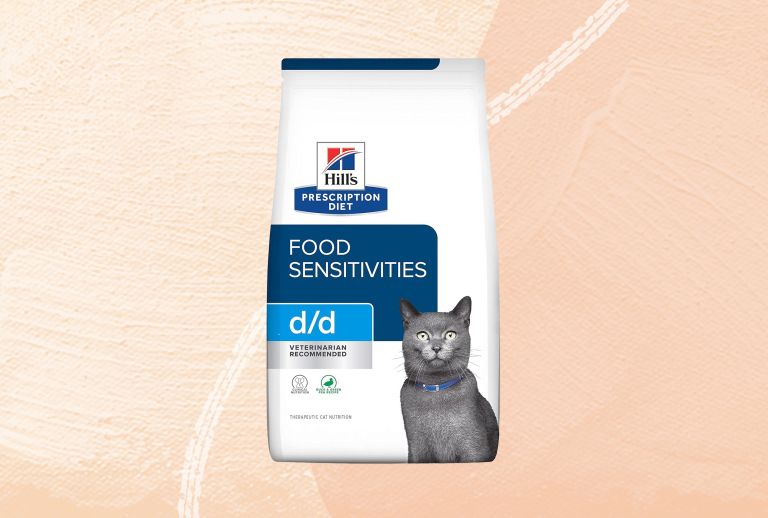 Best Cat Food for Cats with Allergies: Top Picks for 2025 Best Cat Food for Cats with Allergies: Top Picks for 2025