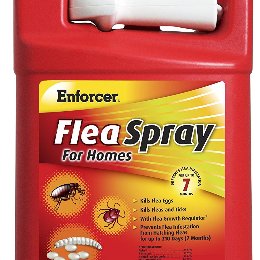 Best Flea Spray for Home in 2025: Top Products for a Pest-Free Space Best Flea Spray for Home in 2025: Top Products for a Pest-Free Space