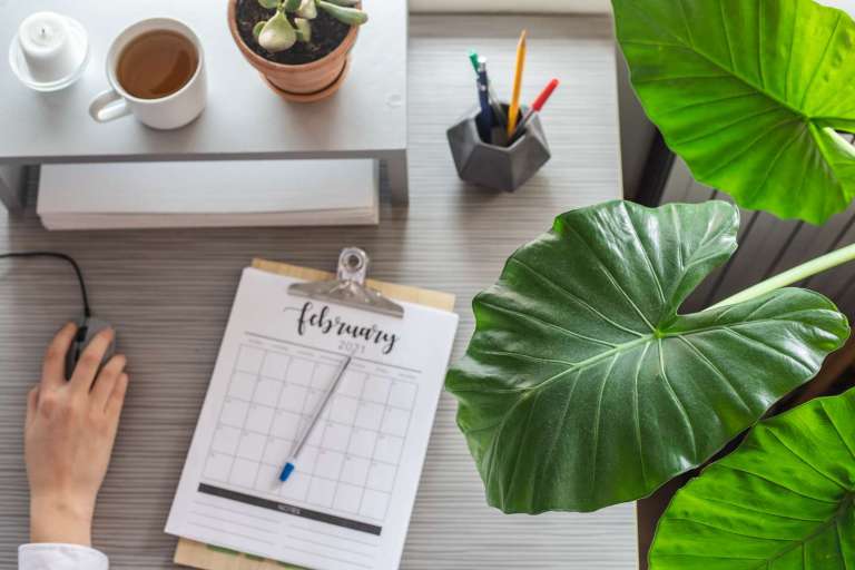 10 Best Office Plants to Brighten Your Workspace in 2024 10 Best Office Plants to Brighten Your Workspace in 2024