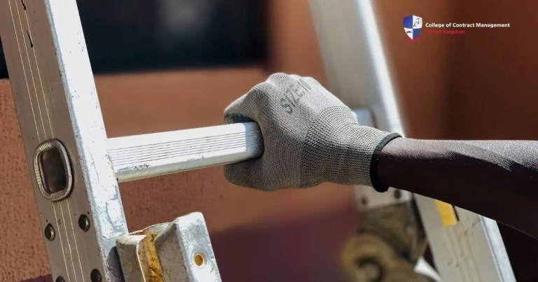 Best Decorative Ladder: Top Picks for Stylish Homes in 2025 Best Decorative Ladder: Top Picks for Stylish Homes in 2025