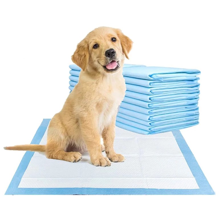 Best Dog Training Pads: Top Picks for 2025 You Can’t Miss! Best Dog Training Pads: Top Picks for 2025 You Can’t Miss!