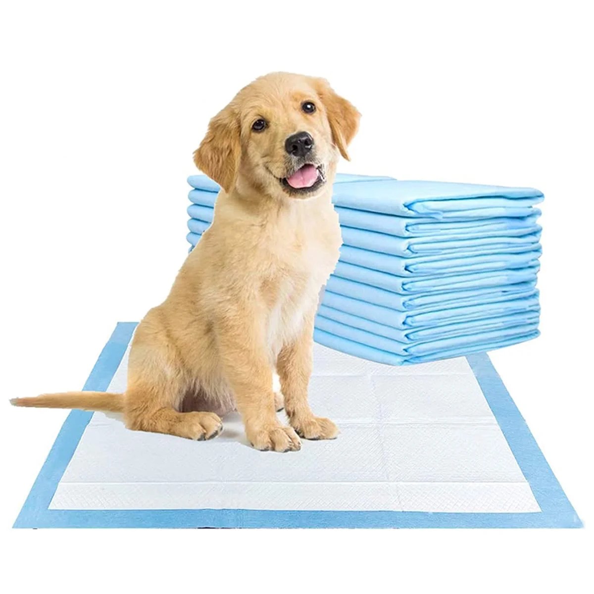 Best Dog Training Pads: Top Picks for 2025 You Can’t Miss! Best Dog Training Pads: Top Picks for 2025 You Can’t Miss!