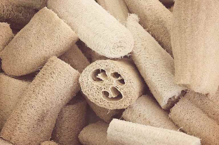 Best Loofah Alternatives for 2025: Top Products You Need to Try Best Loofah Alternatives for 2025: Top Products You Need to Try