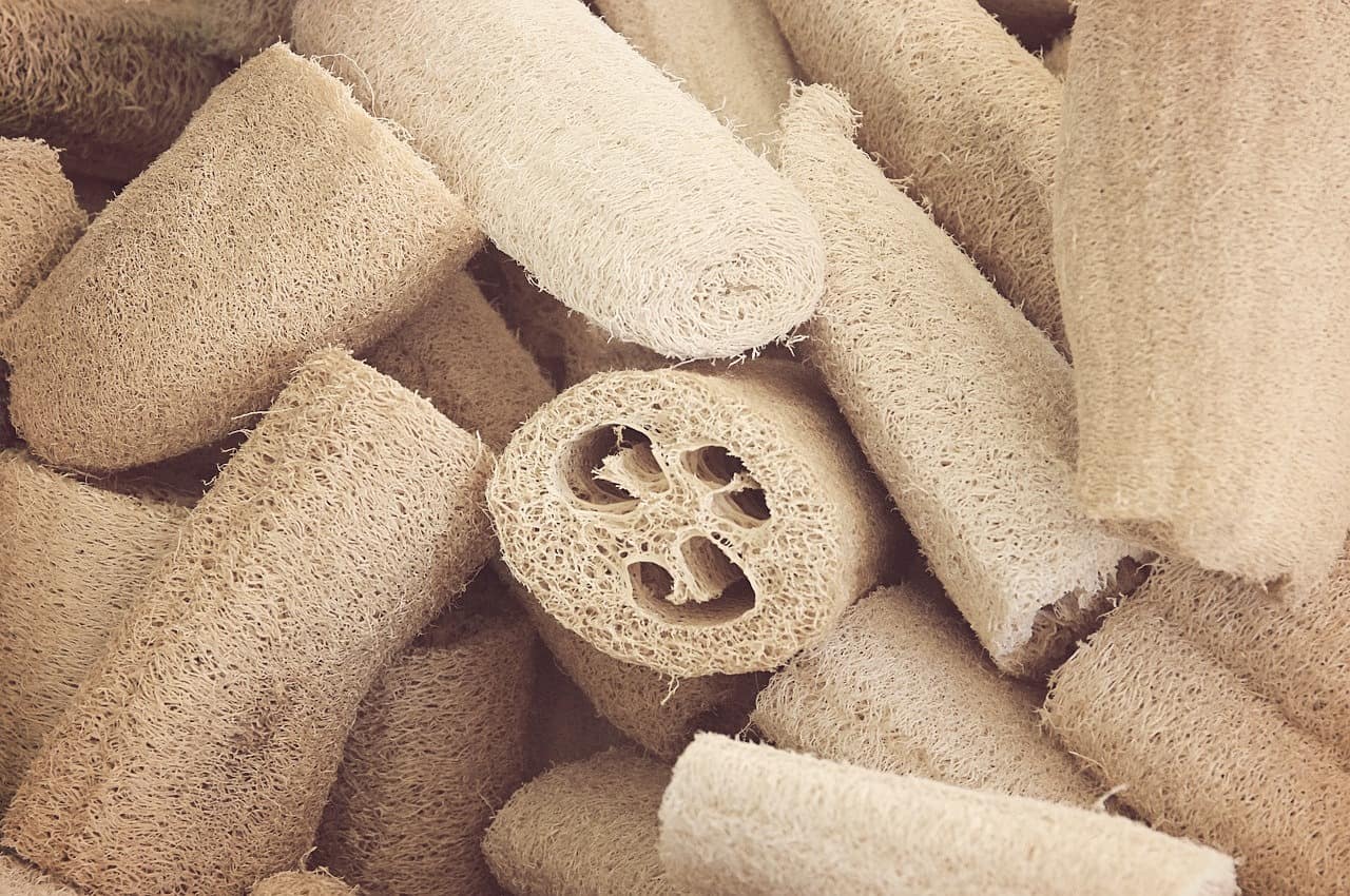 Best Loofah Alternatives for 2025: Top Products You Need to Try Best Loofah Alternatives for 2025: Top Products You Need to Try