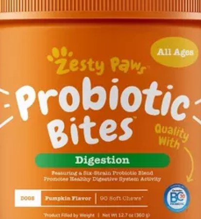 Best Dog Probiotics for 2025: Top Choices for Your Pet’s Health Best Dog Probiotics for 2025: Top Choices for Your Pet’s Health