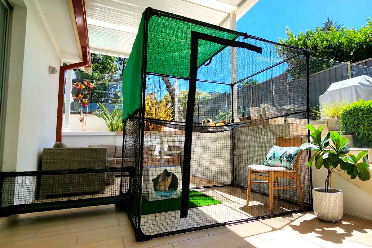 Best Portable Catio: Top Picks for 2025 to Keep Your Cat Safe Outdoors Best Portable Catio: Top Picks for 2025 to Keep Your Cat Safe Outdoors