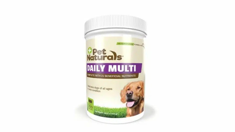 Best Multivitamin for Dogs: Top Choices for Optimal Health in 2025 Best Multivitamin for Dogs: Top Choices for Optimal Health in 2025