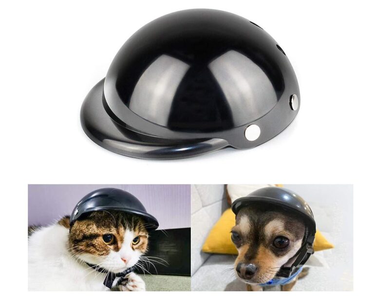Best Dog Motorcycle Helmet: Top Choices for 2025 Safety and Style Best Dog Motorcycle Helmet: Top Choices for 2025 Safety and Style