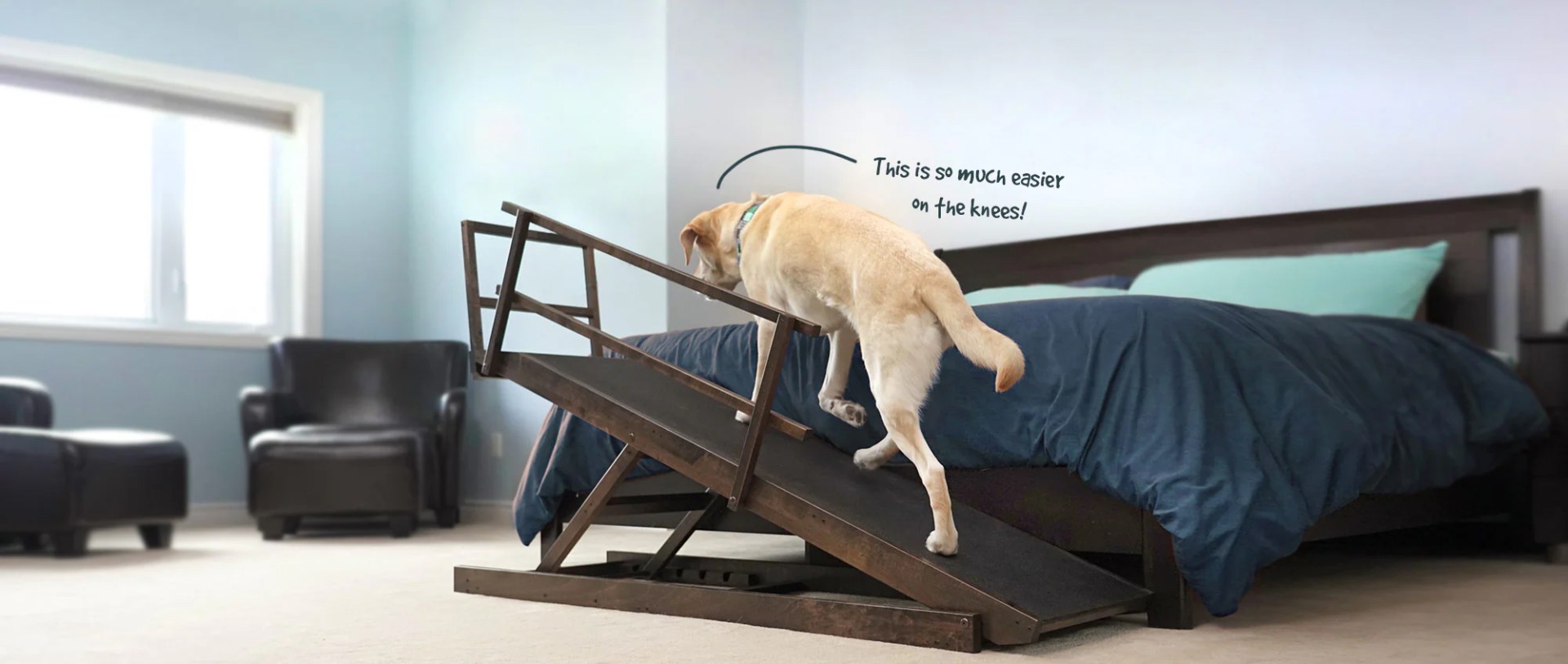 Best Bed Ramp for Dogs: The Ultimate Guide for 2025 Best Bed Ramp for Dogs: The Ultimate Guide for 2025
