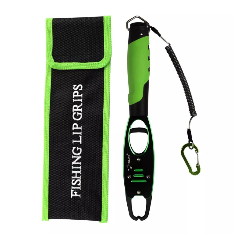 Best Fish Grabber: Top Picks for 2025’s Essential Fishing Gear Best Fish Grabber: Top Picks for 2025’s Essential Fishing Gear