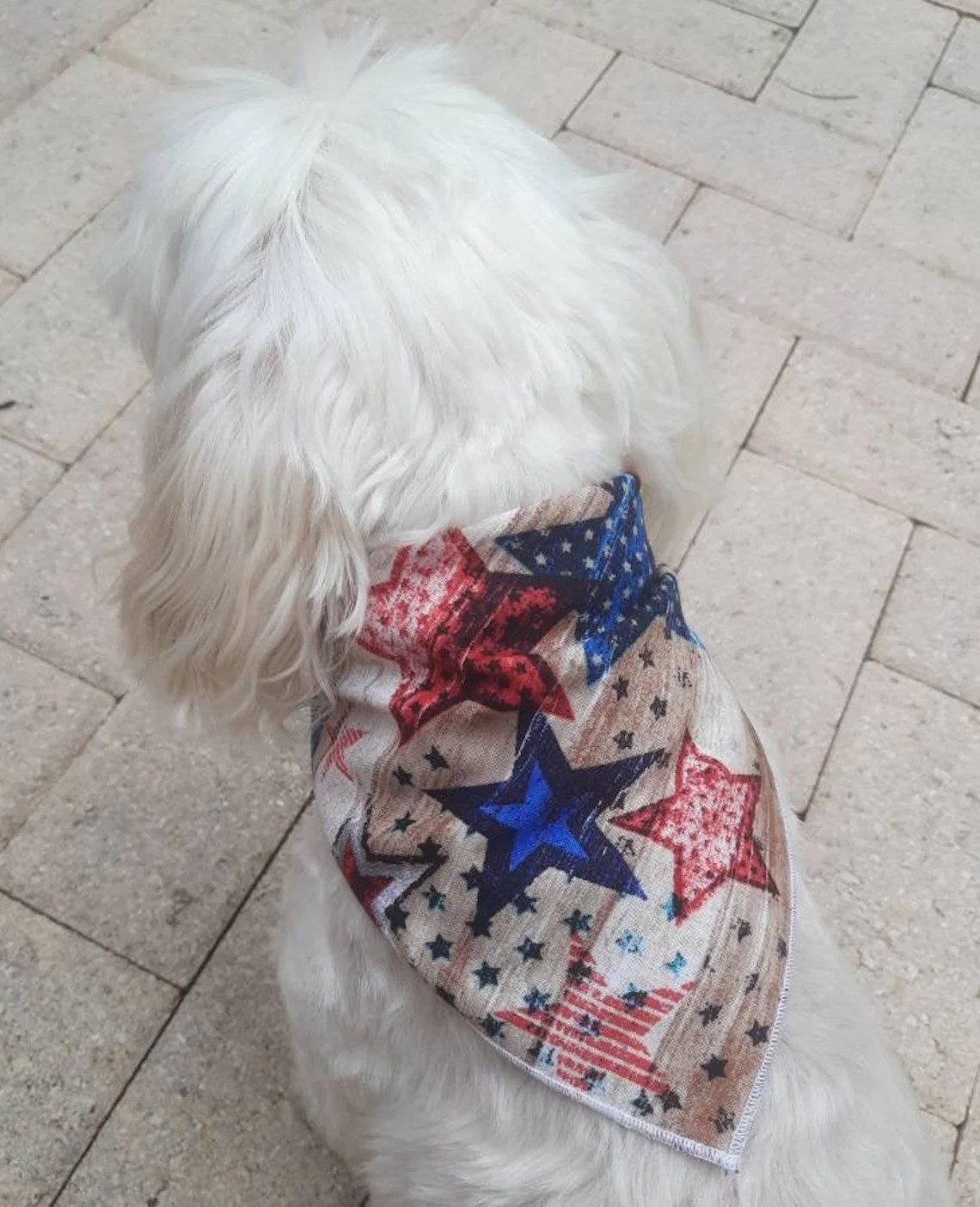 Best 4th of July Dog Bandana: Top Picks for 2025 Celebrations Best 4th of July Dog Bandana: Top Picks for 2025 Celebrations