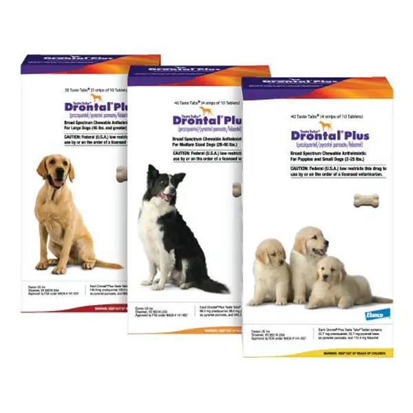 Best Dewormer for Dogs: Top Picks for 2025’s Best Products Best Dewormer for Dogs: Top Picks for 2025’s Best Products