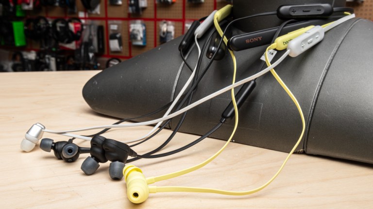 Best Neckband Headphones of 2025: Top Picks for Ultimate Sound Quality Best Neckband Headphones of 2025: Top Picks for Ultimate Sound Quality