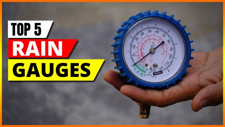 Best Rain Gauge: Top Picks for Accurate Measurement in 2025 Best Rain Gauge: Top Picks for Accurate Measurement in 2025