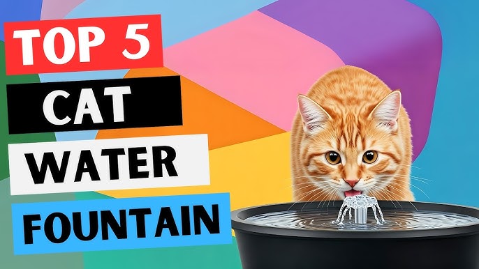 Best Cat Water Filter: The Top Choices for 2025 Explained Best Cat Water Filter: The Top Choices for 2025 Explained