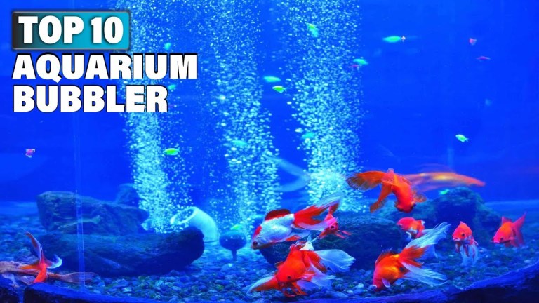 Best Aquarium Bubbler: Top Picks for 2025 to Enhance Your Tank Best Aquarium Bubbler: Top Picks for 2025 to Enhance Your Tank