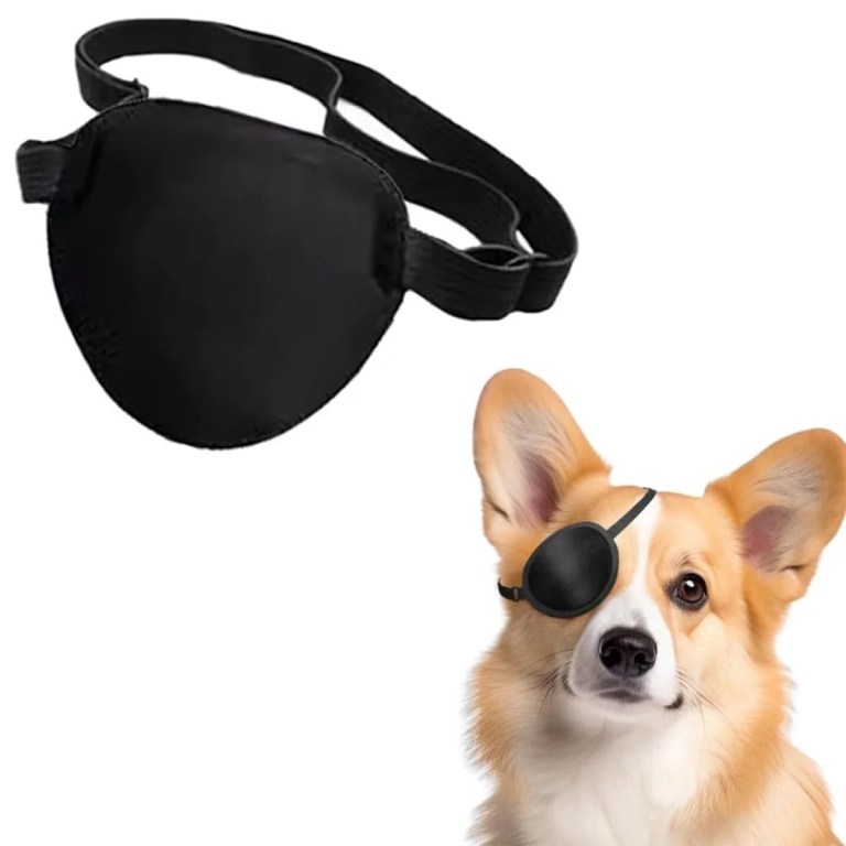 Best Dog Eye Patch: The Top Choice for 2025 Pet Care Best Dog Eye Patch: The Top Choice for 2025 Pet Care