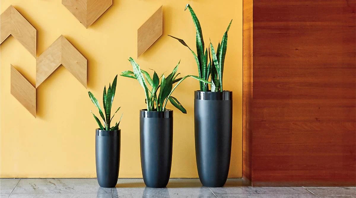 Best Indoor Flower Pots for 2025: Top Choices for Your Home Decor Best Indoor Flower Pots for 2025: Top Choices for Your Home Decor