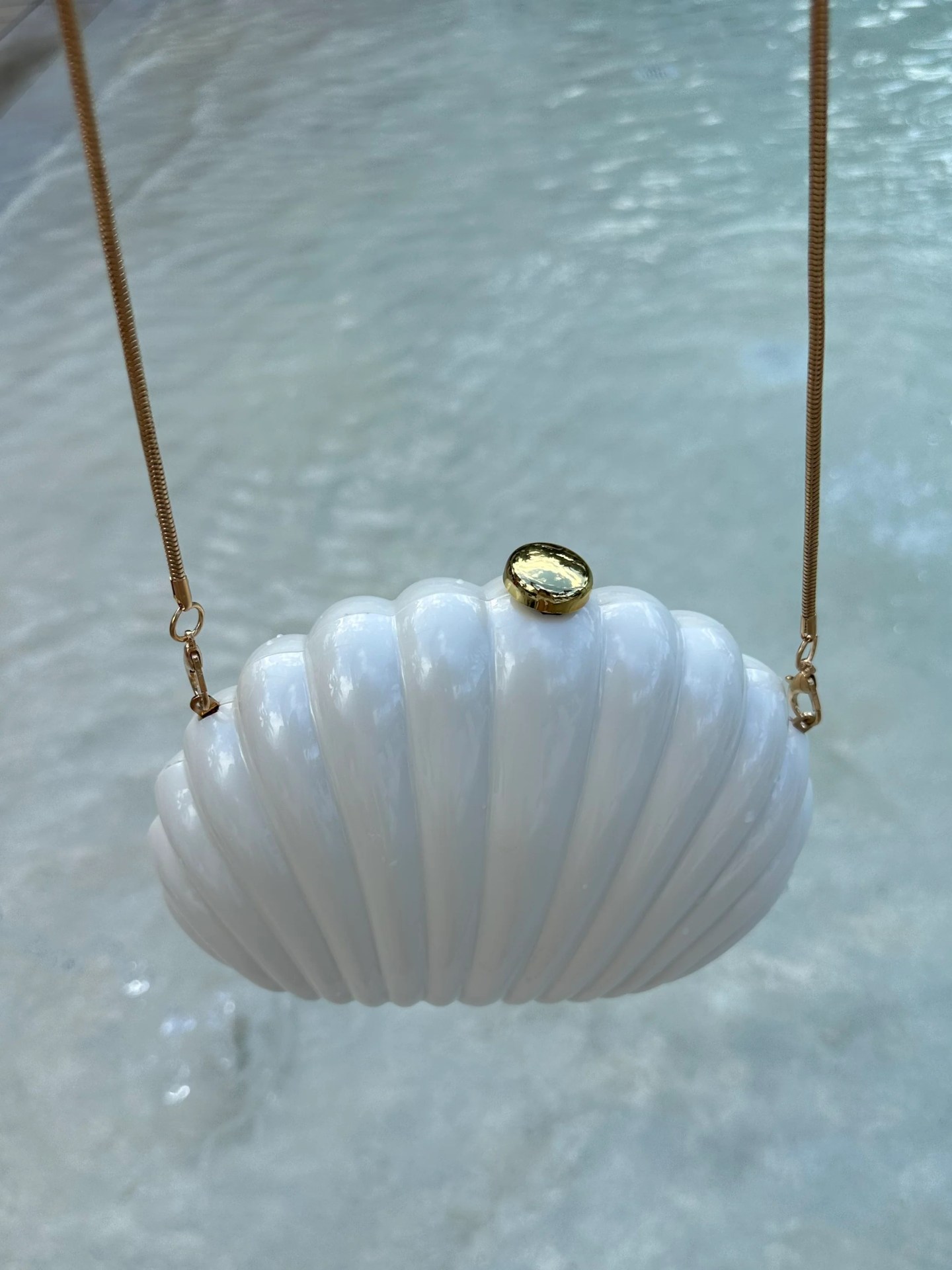 Best Seashell Purse: Top Picks for 2025’s Trendiest Accessories Best Seashell Purse: Top Picks for 2025’s Trendiest Accessories