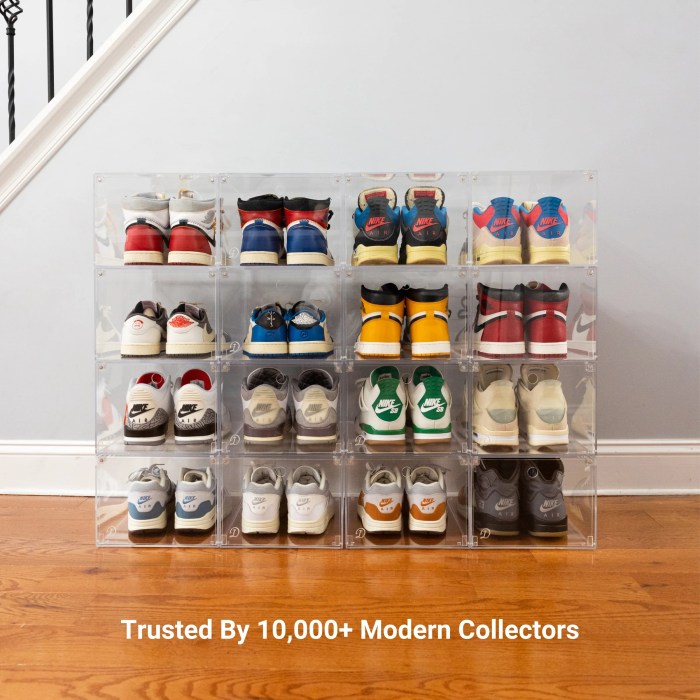 Best Shoe Display Case: Top Picks for 2025 to Showcase Your Collection Best Shoe Display Case: Top Picks for 2025 to Showcase Your Collection