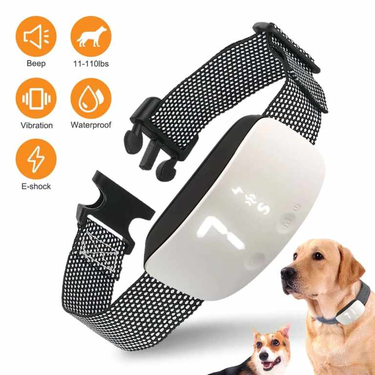 Best Bark Collar: Top Choices for Dog Training in 2025 Best Bark Collar: Top Choices for Dog Training in 2025