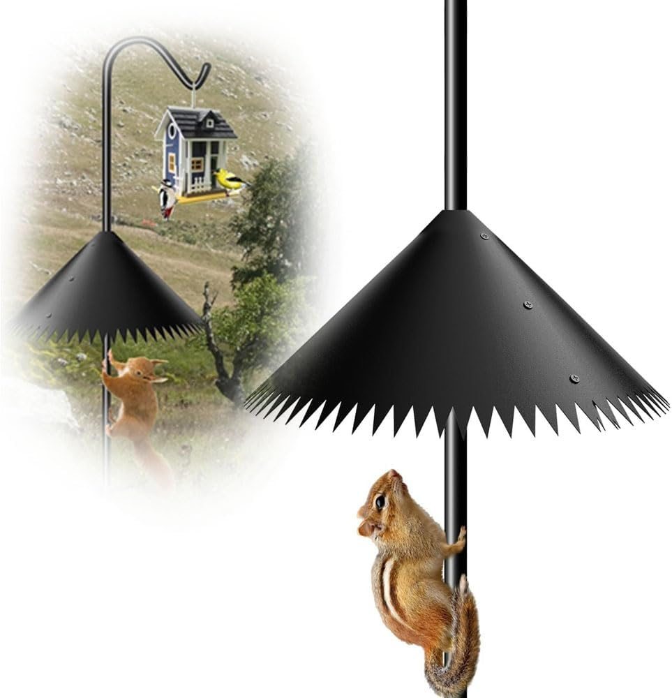 Best Squirrel Guard for Bird Feeder: Top Choice for 2025 Best Squirrel Guard for Bird Feeder: Top Choice for 2025