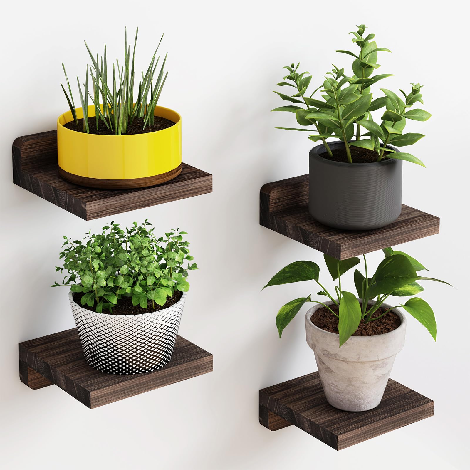 Best Small Floating Shelves: Top Picks for 2025’s Best Products Best Small Floating Shelves: Top Picks for 2025’s Best Products