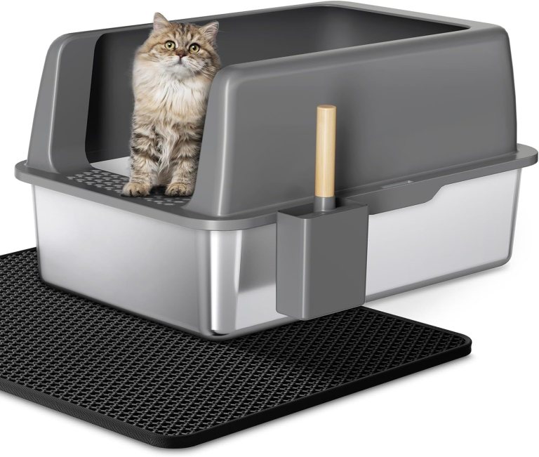 Best Extra Large Litter Box for Big Cats: Top Picks for 2025 Best Extra Large Litter Box for Big Cats: Top Picks for 2025