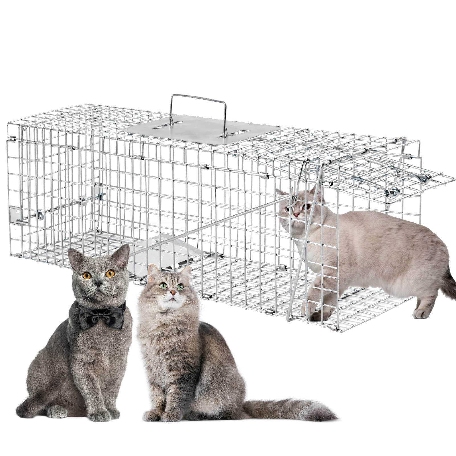 Best Cat Trap Cage: Top Picks for 2025’s Best Products Best Cat Trap Cage: Top Picks for 2025’s Best Products