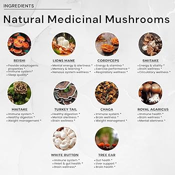 Best Mushroom Vitamins: Top Picks for 2025 Health Benefits Best Mushroom Vitamins: Top Picks for 2025 Health Benefits
