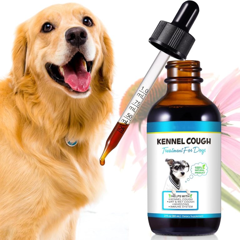 Best Kennel Cough Medicine for Dogs: Top Picks for 2025 Best Kennel Cough Medicine for Dogs: Top Picks for 2025