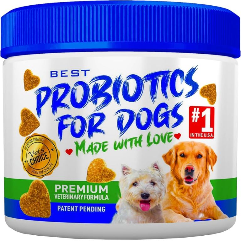 Best Probiotics for Dogs: Top Choices for 2025’s Healthiest Pets Best Probiotics for Dogs: Top Choices for 2025’s Healthiest Pets