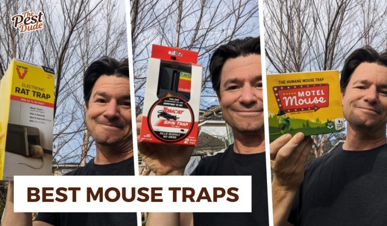 Best Mouse Traps: Top Picks for 2025 That Ensure Effective Pest Control Best Mouse Traps: Top Picks for 2025 That Ensure Effective Pest Control