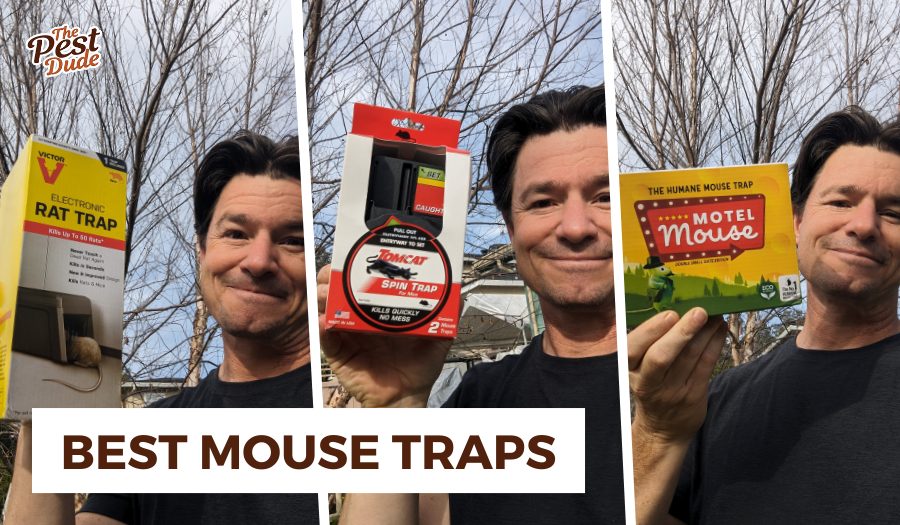 Best Mouse Traps: Top Picks for 2025 That Ensure Effective Pest Control Best Mouse Traps: Top Picks for 2025 That Ensure Effective Pest Control