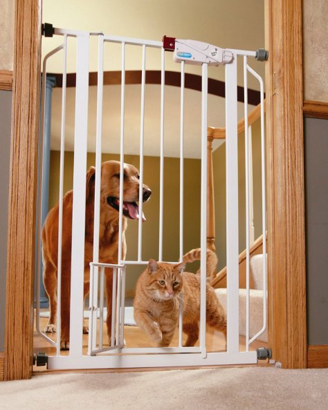 Best Tall Dog Gate: The Ultimate Choice for Pet Owners in 2025 Best Tall Dog Gate: The Ultimate Choice for Pet Owners in 2025