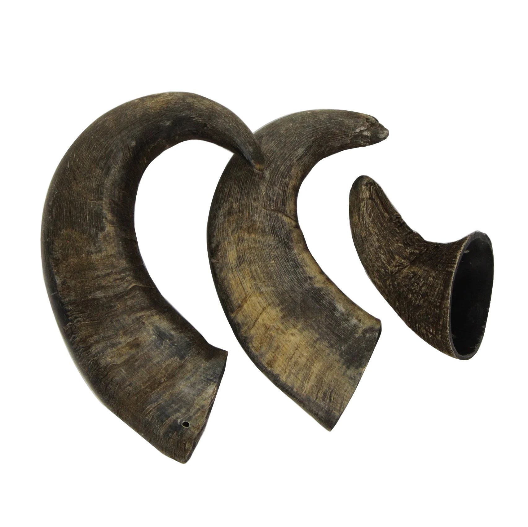 Best Water Buffalo Horn Products: Top Picks for 2025 Best Water Buffalo Horn Products: Top Picks for 2025