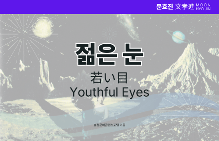 젊은 눈 젊은 눈