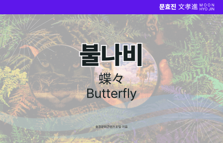 불나비 불나비