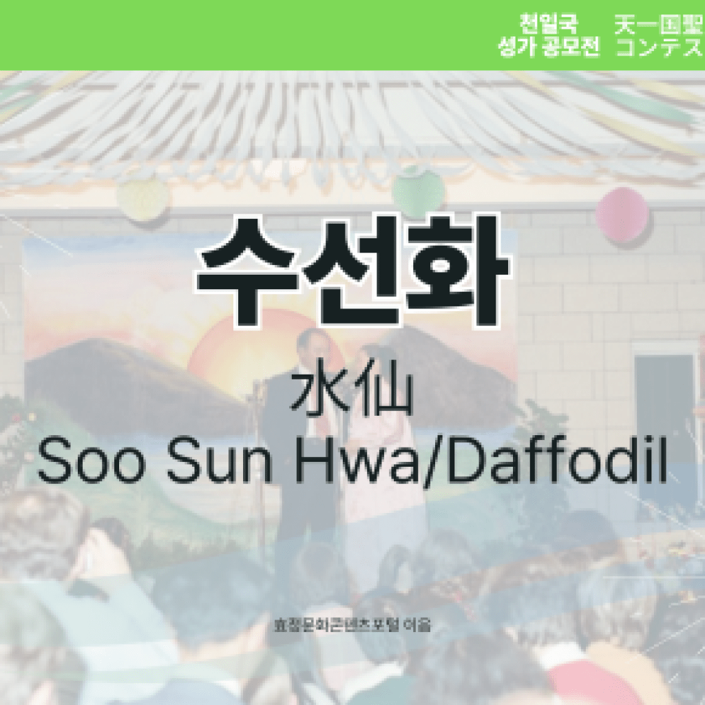 수선화(Soo Sun Hwa/Daffodil) 수선화(Soo Sun Hwa/Daffodil)