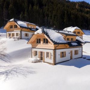 Chalet Riesneralm Sperlingnest - 8 personen Chalet Riesneralm Sperlingnest - 8 personen