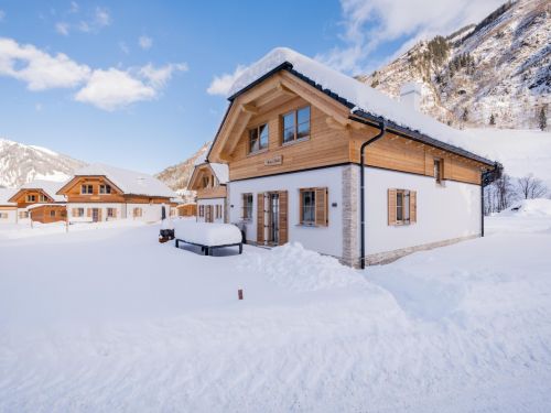 Chalet Riesneralm Bente - 8-10 personen