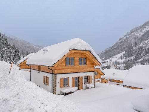 Chalet Riesneralm Pretzel - 8-10 personen