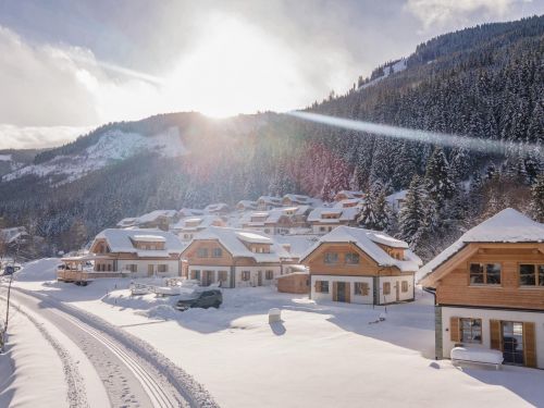 Chalet Riesneralm Erna - 8-10 personen