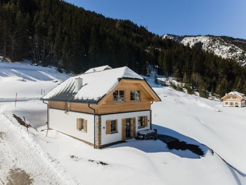 Chalet Riesneralm Im grünen Herzen - 8 personen