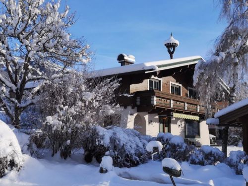 Chalet Wildkogel - 8-9 personen