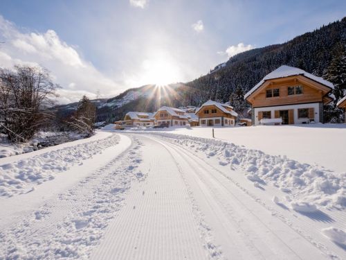 Chalet Riesneralm Auerhahn - 10 personen