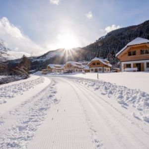 Chalet Riesneralm Auerhahn - 10 personen Chalet Riesneralm Auerhahn - 10 personen