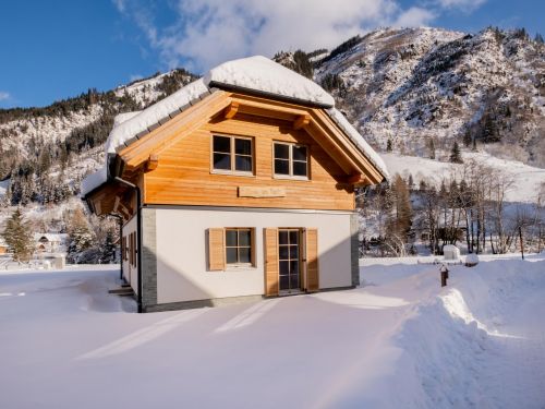 Chalet Riesneralm Haus am Bach - 9-10 personen