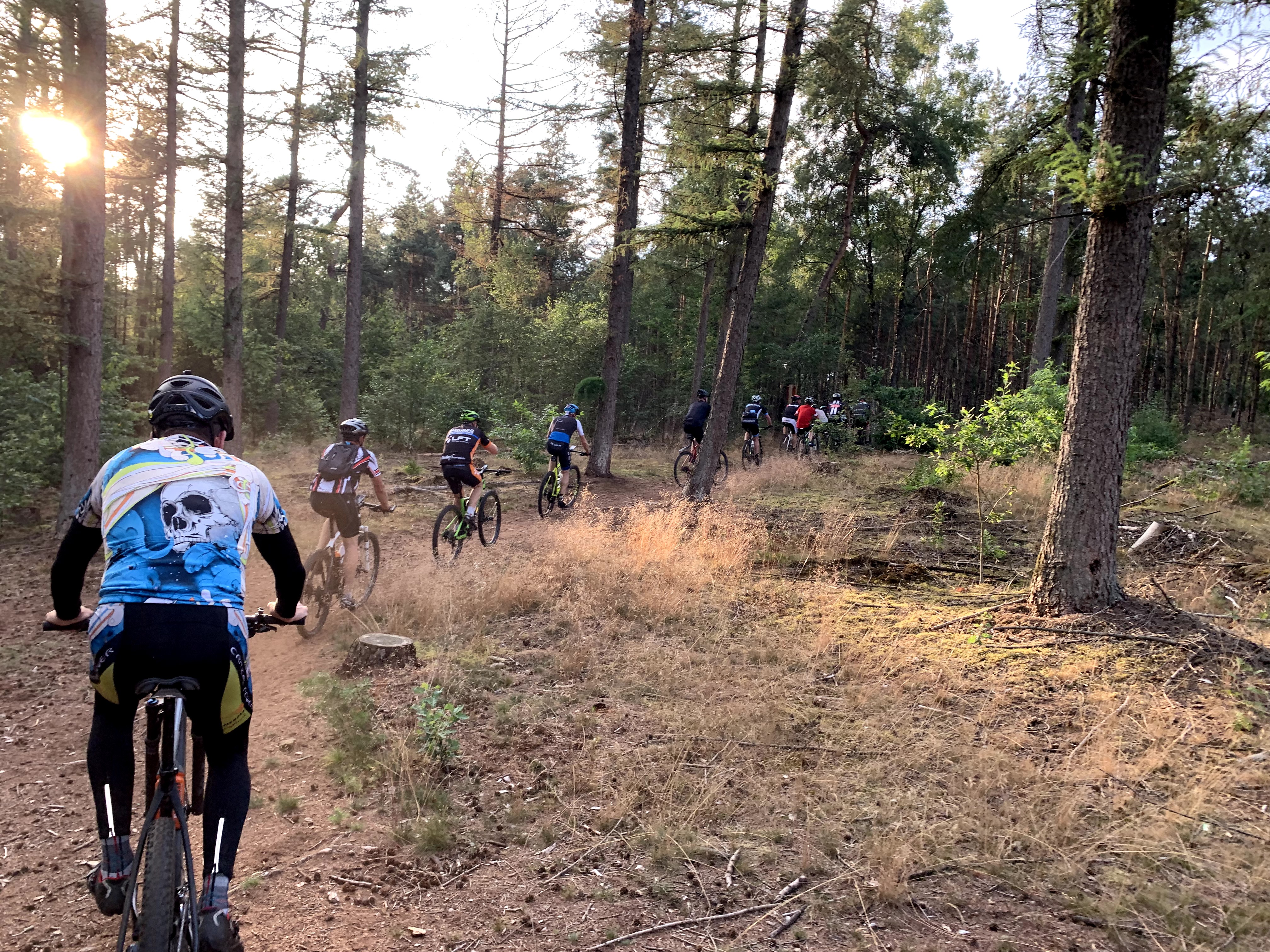 Camping De Noetselerberg