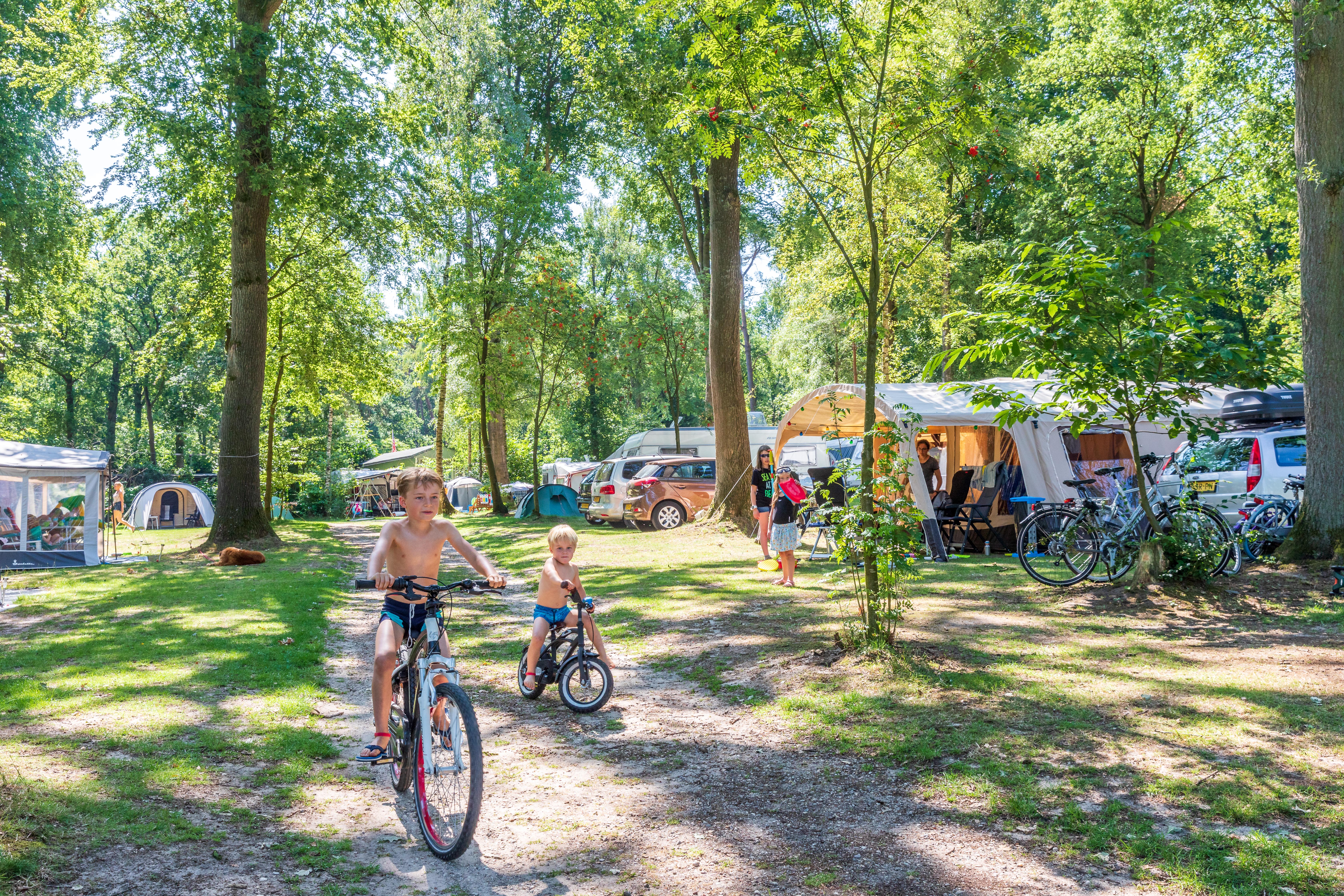 Vakantiedorp De Jutberg